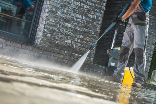 Animal Enclosure Cleaning in Daly City, CA